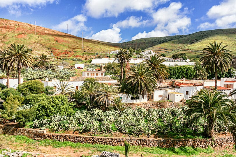 Im Vergleich zu den meisten anderen Orten auf Fuerteventura wirkt Betancuria deutlich grüner 