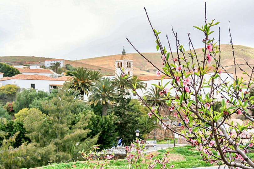 Betancuria zur Zeit der Mandelblüte 