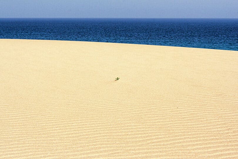 Südlich von Corralejo erstrecken sich die Wanderdünen des Dünengebiets El Jable bis zum Meer 