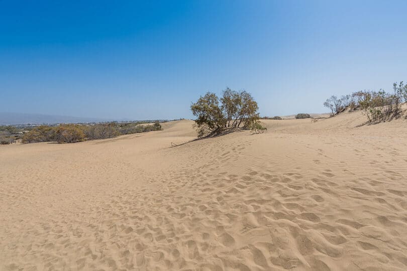 Dünen von Maspalomas