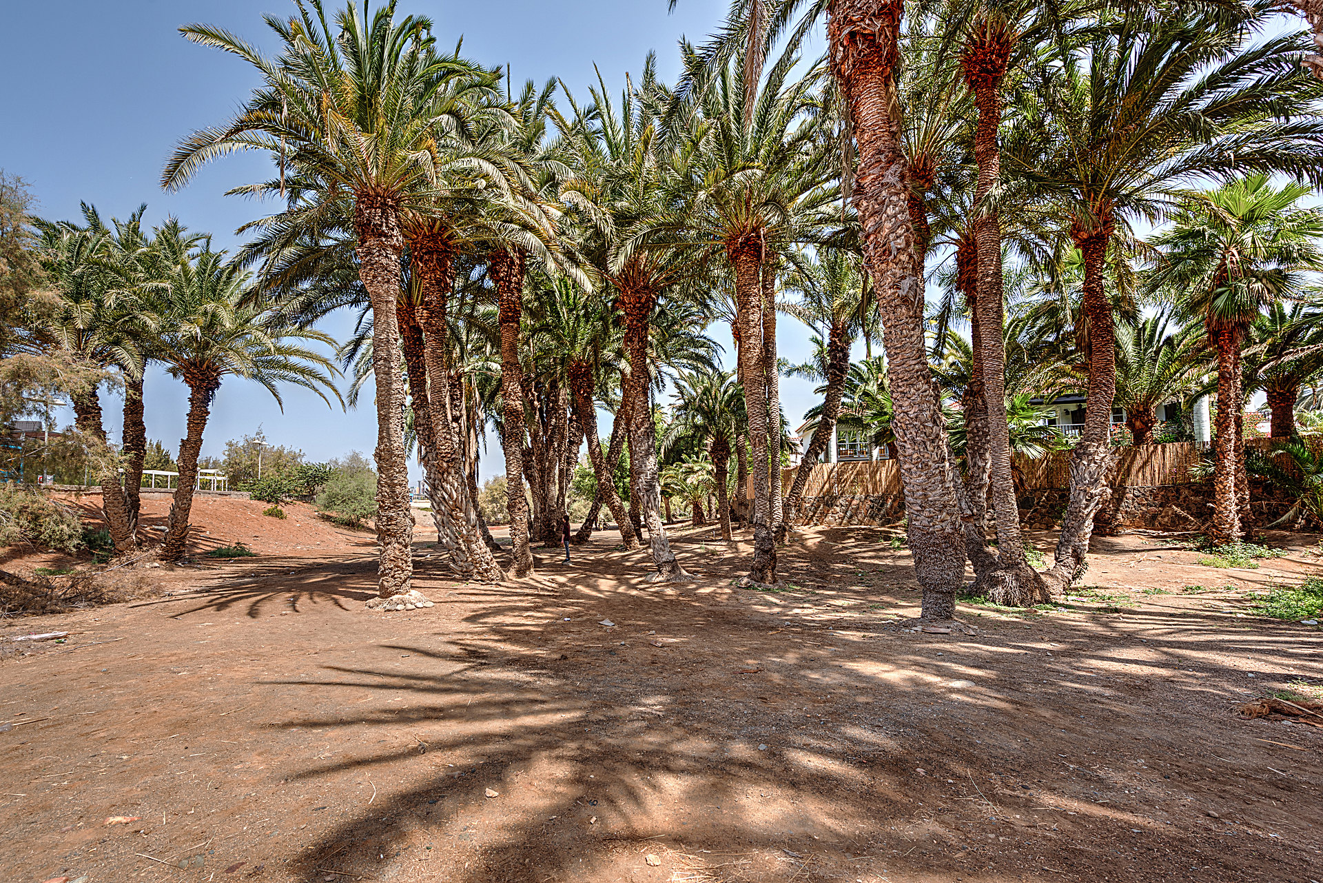 Gran-Canaria