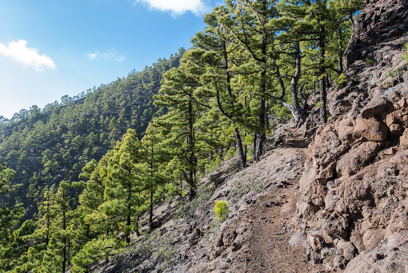 La Palma Wanderweg