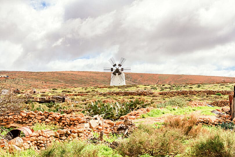 Windmühle mit sechs Flügeln am Ortsrand von Llanos de la Concepción