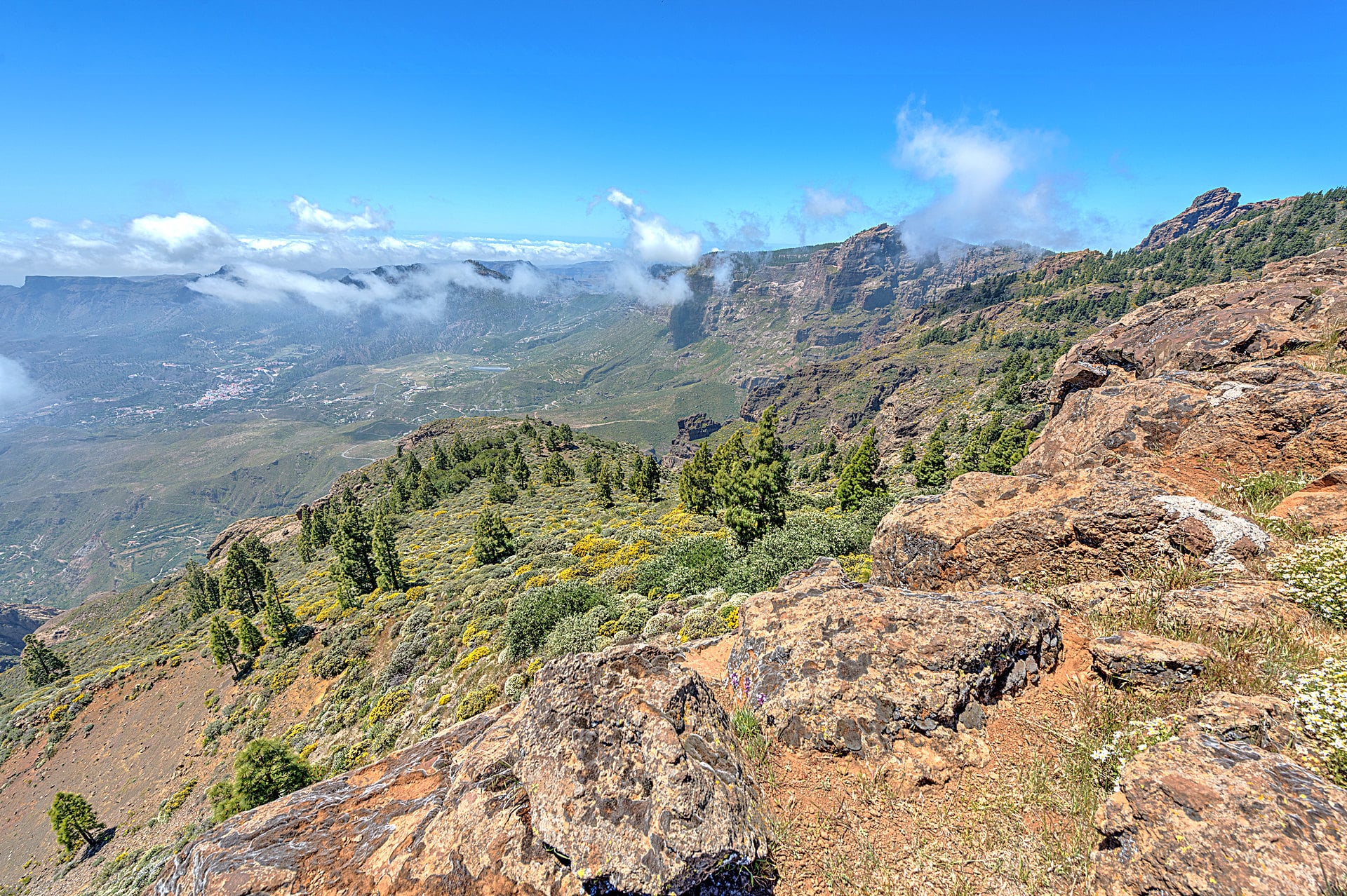 Pico-de-las-nieves