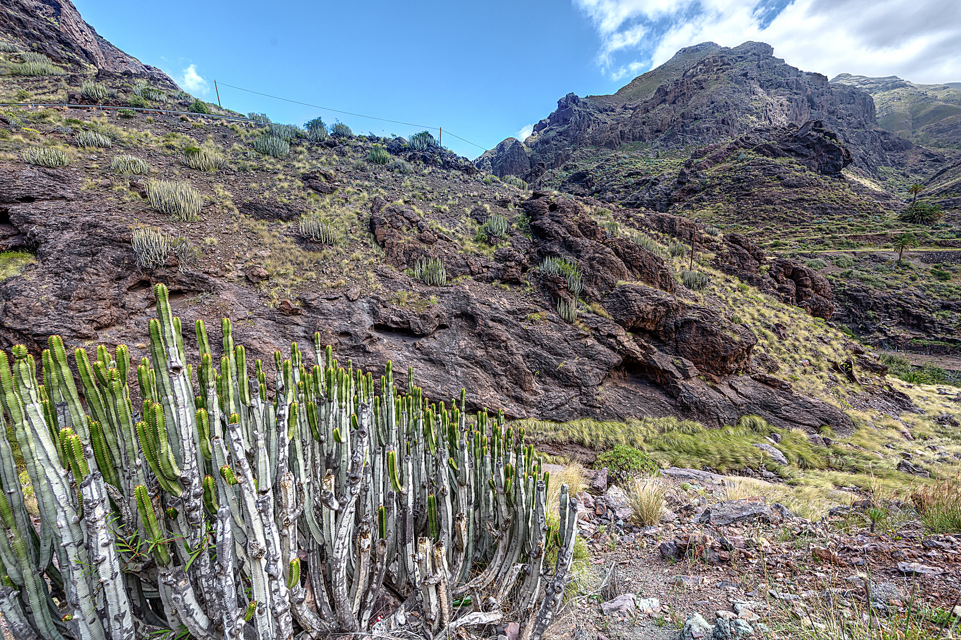 Region_Aldea