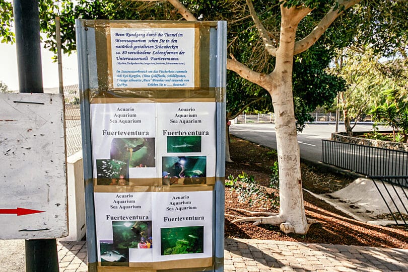 Das am Ortseingang von Tarajalejo gelegene Aquarium gibt einen Einblick in die Unterwasserwelt von Fuerteventura