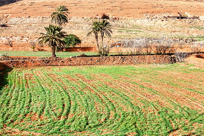 Landwirtschaft wird in Toto kaum noch betrieben