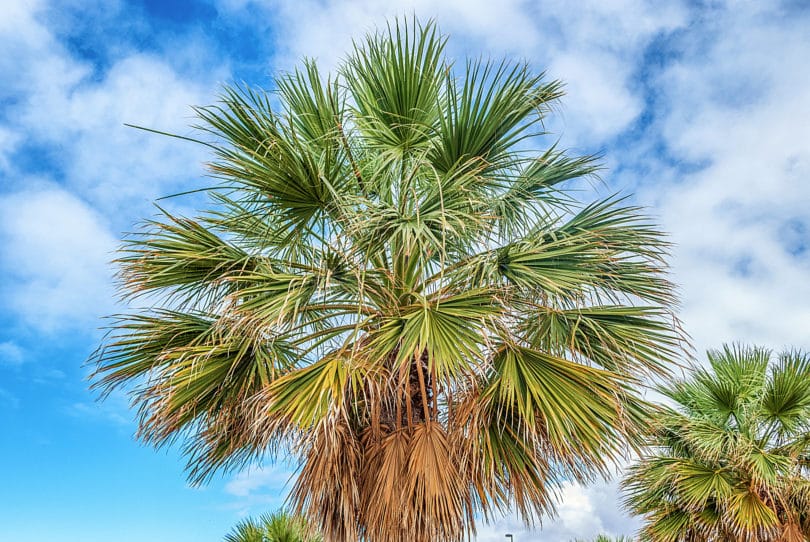 Das Wetter auf Gran Canaria